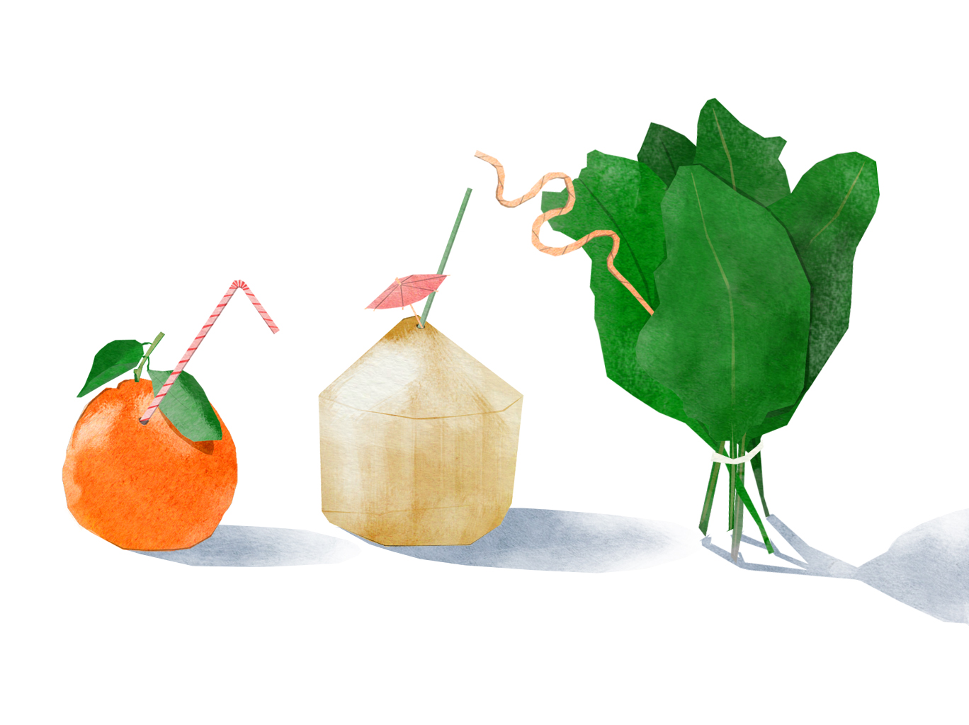 tram nguyen juice diet illustration