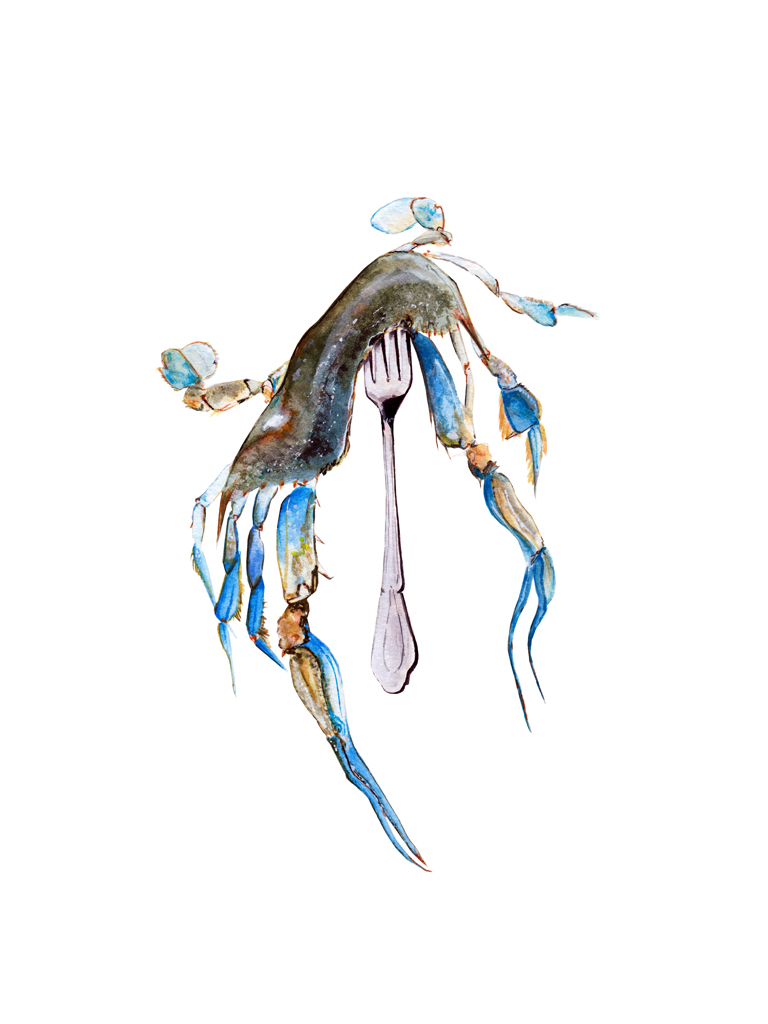 tram nguyen softshell crab illustration